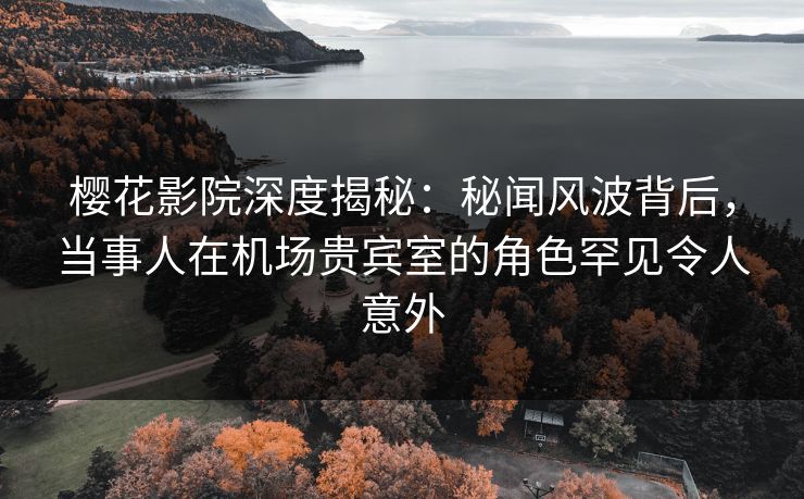 樱花影院深度揭秘：秘闻风波背后，当事人在机场贵宾室的角色罕见令人意外