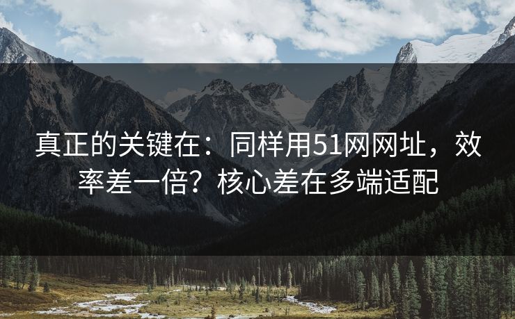 真正的关键在:同样用51网网址,效率差一倍?核心差在多端适配 真正的关键在:同样用51网网址,效率差一倍?核心差在多端适配